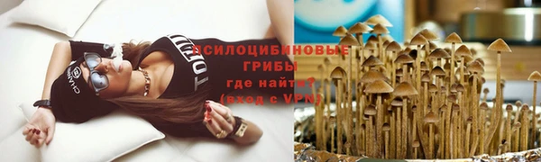 бошки Абаза