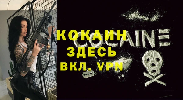 бошки Абаза