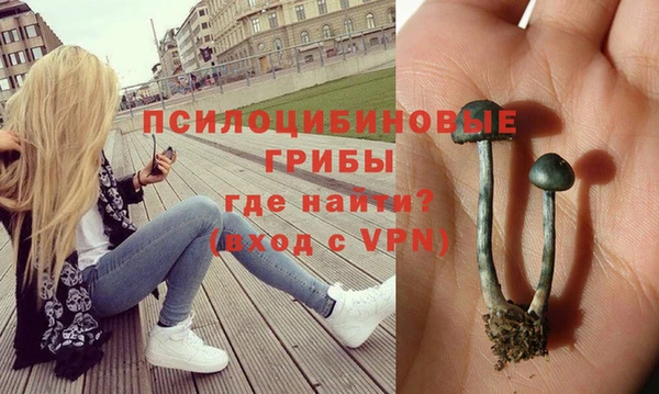 молекула духа Абинск